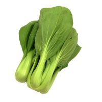 bok choy leaf for sale minnesota