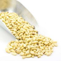 Giant Pine Nut For Sale