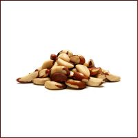 Brazil Nut Tree For Sale