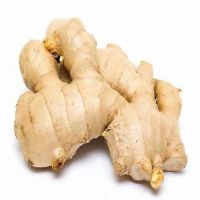 fresh ginger buy