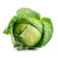 Fresh Cabbage Suppliers Australia