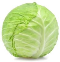 Fresh Cabbage Suppliers Dubai