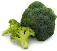 Fresh Broccoli Suppliers Bulk