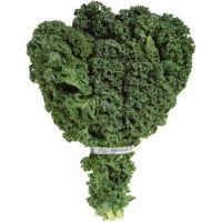 kale vegetable suppliers and prices