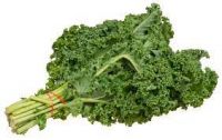 Kale Vegetable Suppliers Qatar