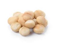 Macadamia Nut Oil Suppliers South Africa