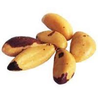 Brazil Nuts Manufacturers