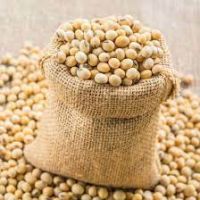 soybean seed companies in india