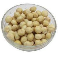 Macadamia Nuts Supplier Malaysia