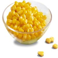 Yellow Corn Supplier In Karachi