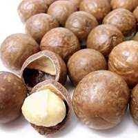 Macadamia Nut Supplier In Singapore
