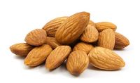 almond nuts suppliers turkey