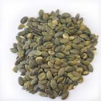 Pumpkin Seeds F1