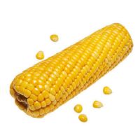 brazil yellow corn suppliers