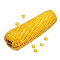 Yellow Corn Meal Suppliers