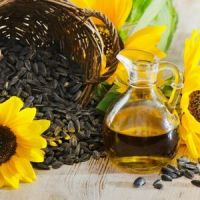 Sunflower oil/Seeds