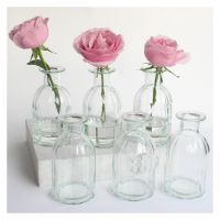 1 Pack Glass Bud Vase Small