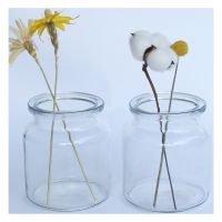 1 Pcs Small Vases For Flowers