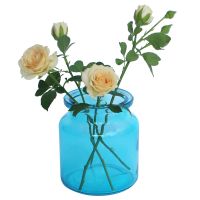  1 Pcs Glass Bud Vase For