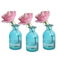 1 Pcs Glass Bud Vase For