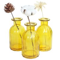1 Pcs Glass Bud Vase For