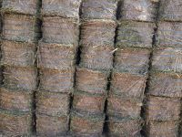 Peanut Hay