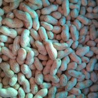Wholesale Natural Organic First Grade Shelled Peanut Bulk Raw Peanut In Shell Laser Sorting Peanuts Nuts & Kernels From Tanzania