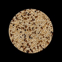 Shop QUINOA SEEDS Online | Organic Quinoa Pseudocereal Grains From Tanzania