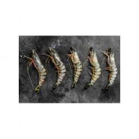 High-quality Shrimps Perfect For Restaurants And Seafood Suppliers High-quality Shrimps Perfect For Restaurants And Seafood Suppliers