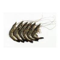 High-quality Shrimps Perfect For Restaurants And Seafood Suppliers High-quality Shrimps Perfect For Restaurants And Seafood Suppliers