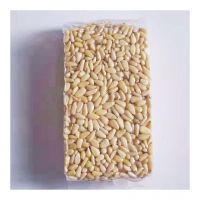 Premium quality Organic Pine Nuts for cooking and baking