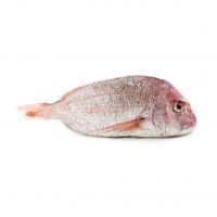 High-protein Frozen Red Snapper For