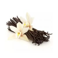 Premium Madagascar vanilla beans for sale in wholesale price