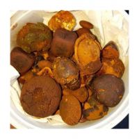 High-quality natural Ox Gallstones for pharmaceutical use