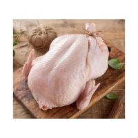 Premium Frozen Whole Chicken available in bulk