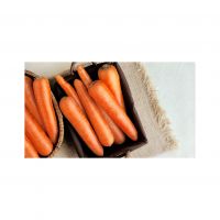 Premium fresh carrots available in bulk supply