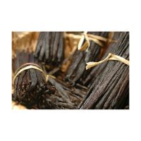 Bulk Vanilla Beans For Sale At Competitive Prices For Businesses
