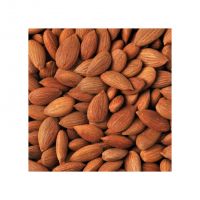 Wholesale Apricot Kernels For Industrial And