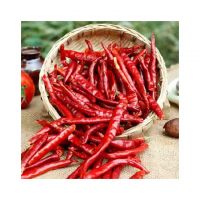 Premium quality Red Dry Chilli available in bulk