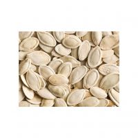 Non-GMO Pumpkin Seeds With High