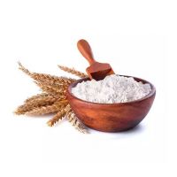 Best Premium Bread Wheat Flour For