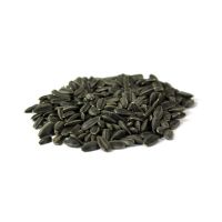 Wholesale Sunflower Seeds For Export And Bulk Supply
