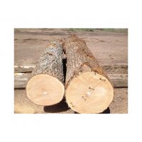 Oak Timber Logs For Flooring And