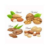Wholesale Almond Nuts For International Trade