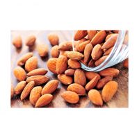 Fresh Almond Nuts Available In Bulk