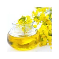 Wholesale Refined Rapeseed Oil For Food