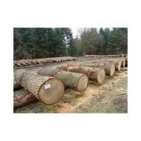 Kiln-dried Oak Wood Logs For