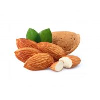 Organic Almond Nuts Rich In Protein