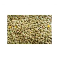 Low-priced Green Lentils For Wholesale Buyers