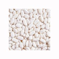 Affordable white kidney beans for food supply chains From Tanzania